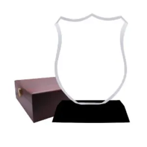 custom Crystal Clear Transparent Trophy Awards 08